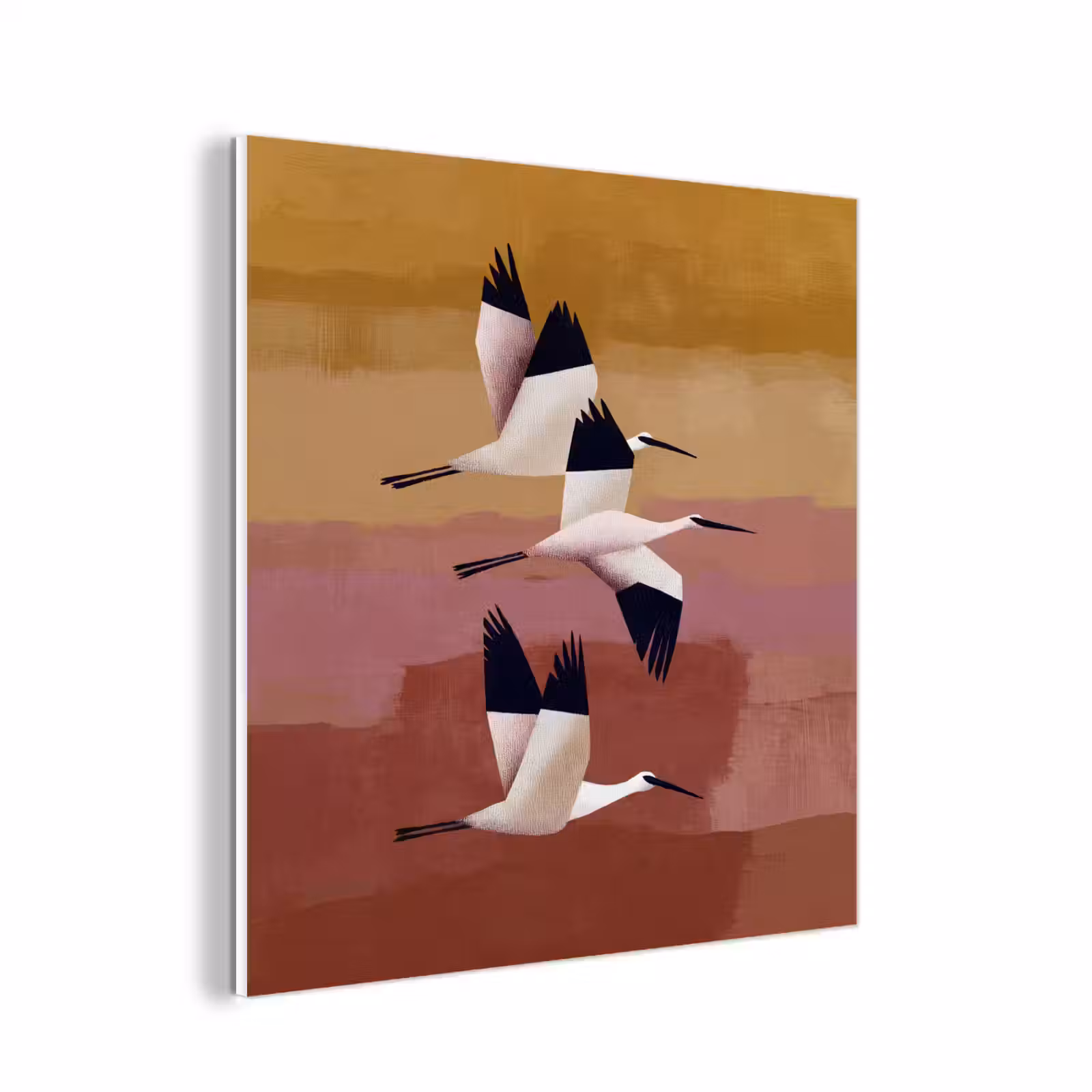 Forex - Vogels - Snavel - Abstract — 1