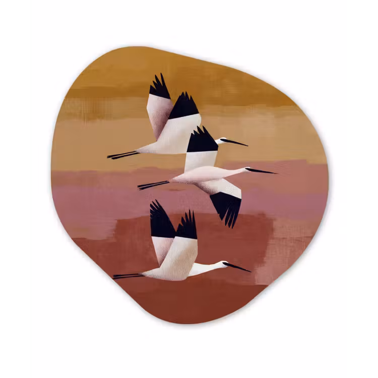 Organische schilderij - Aluminium - Vogels - Snavel - Abstract — 1