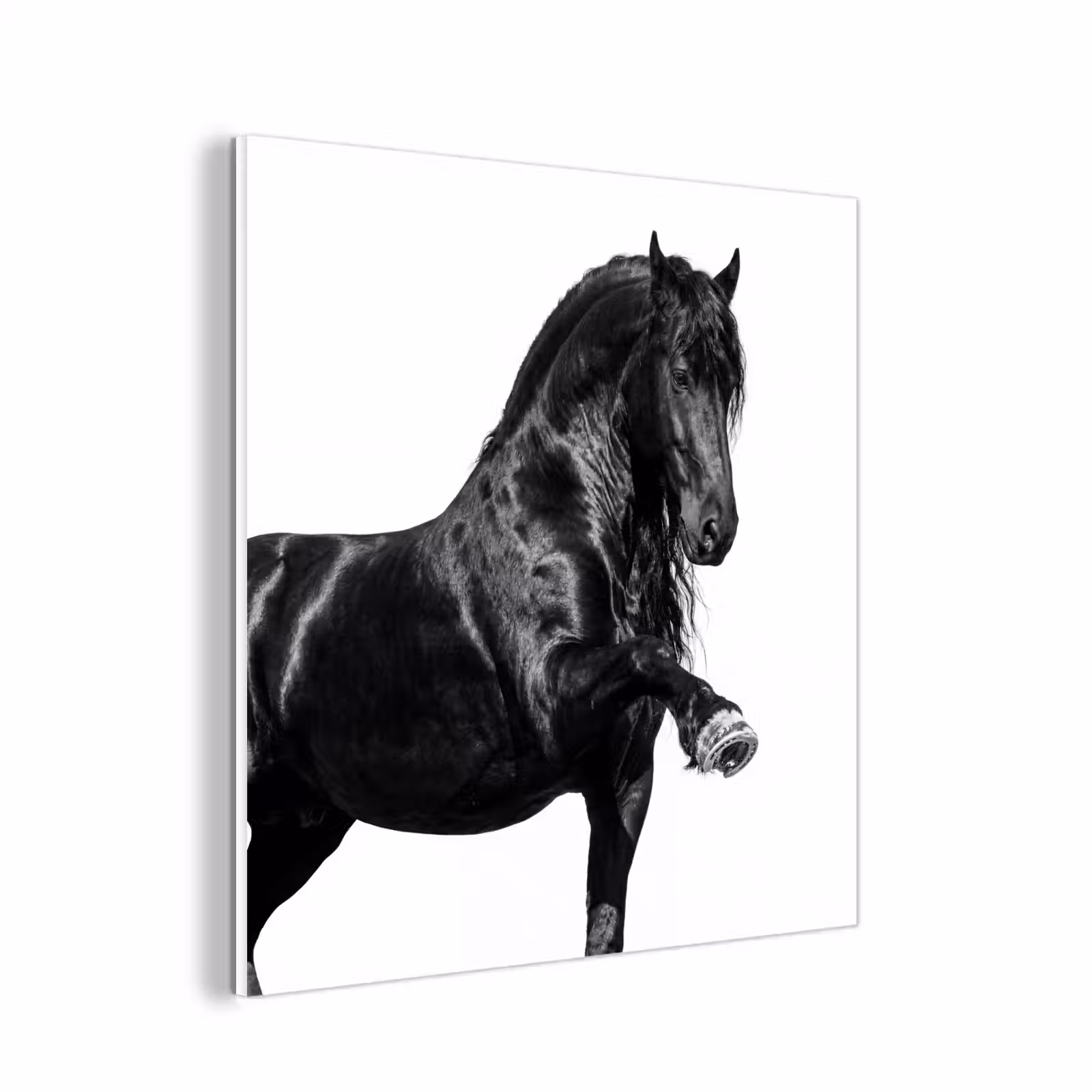 Forex - Fries - Hengst - Modern — 1