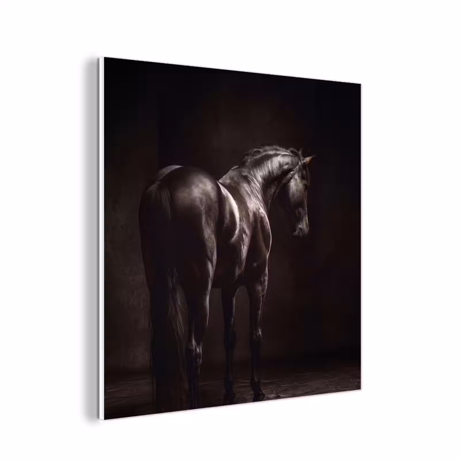Forex - Krachtig - Paard - Donker — 1