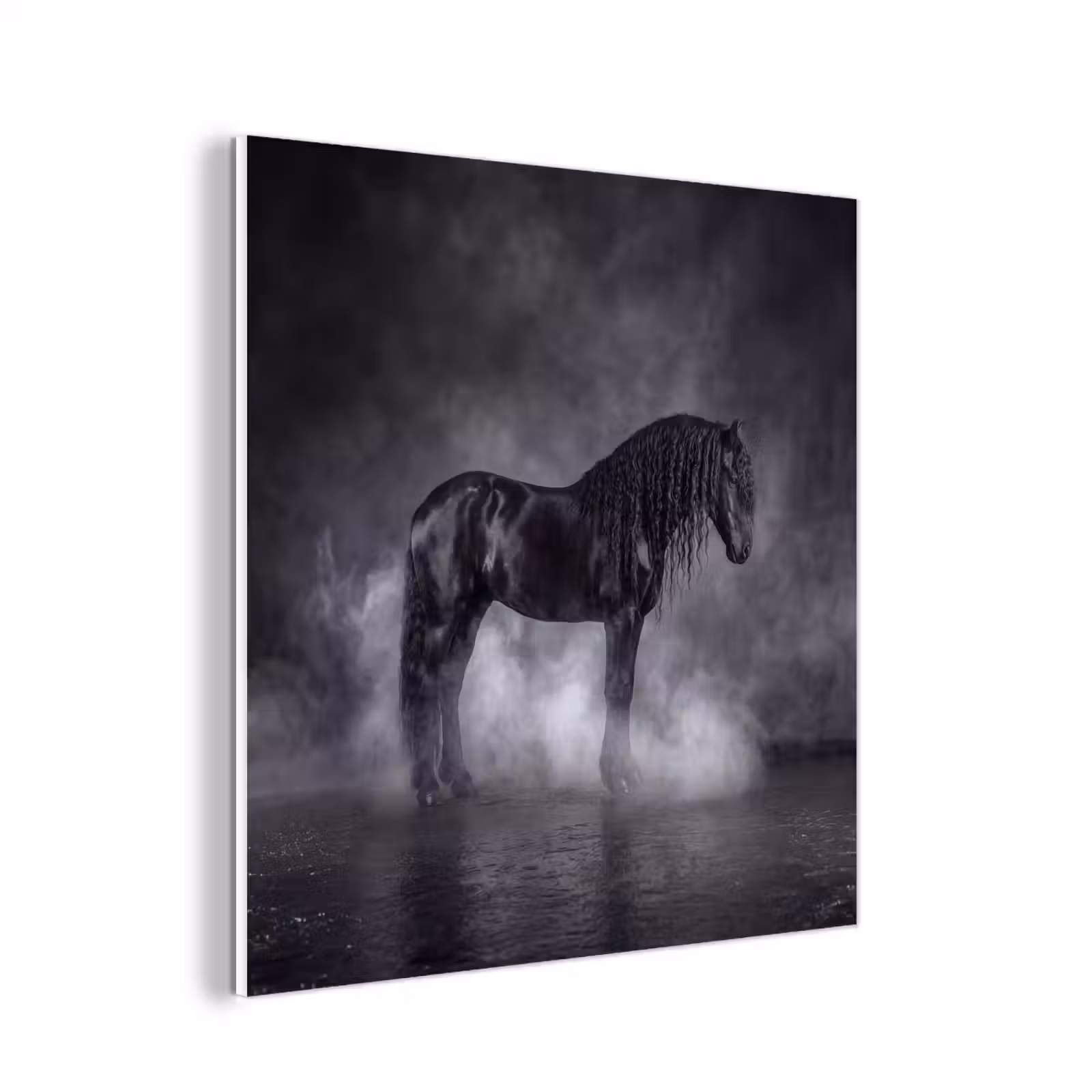Forex - Paard - Magisch - Zwart — 1