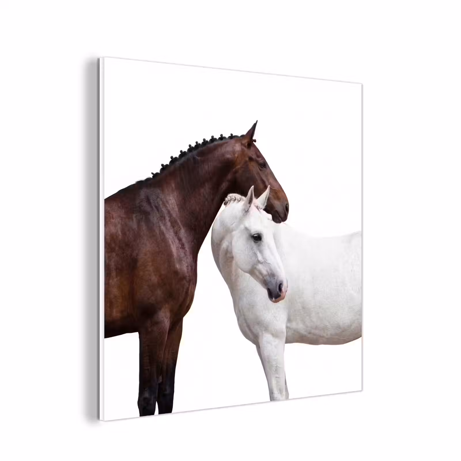 Forex - Paard - Modern - Balans — 1