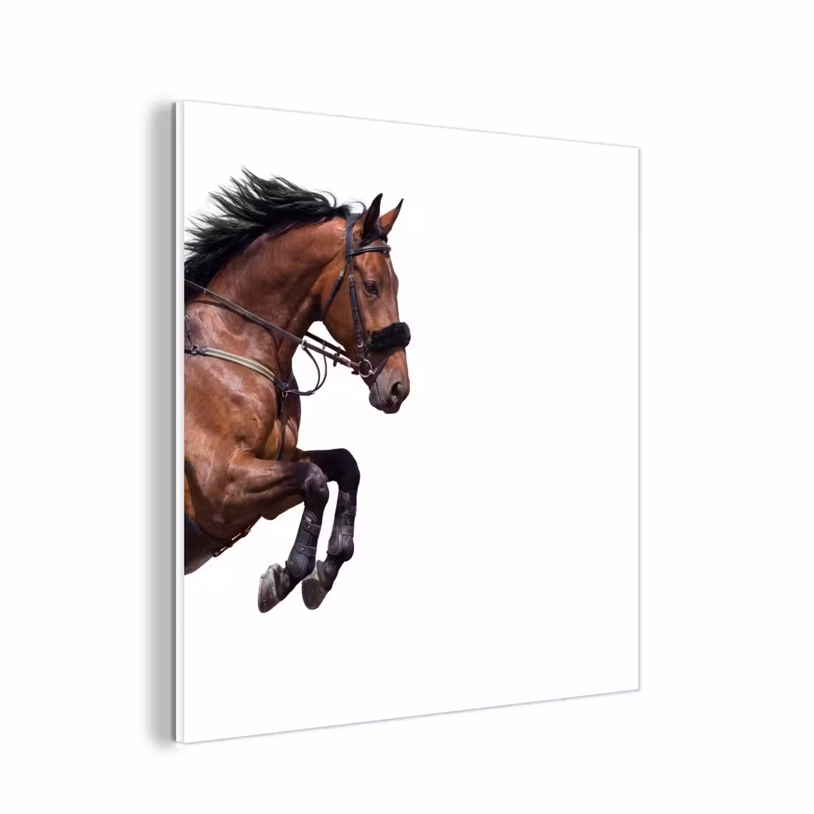 Forex - Paard - Springen - Modern — 1