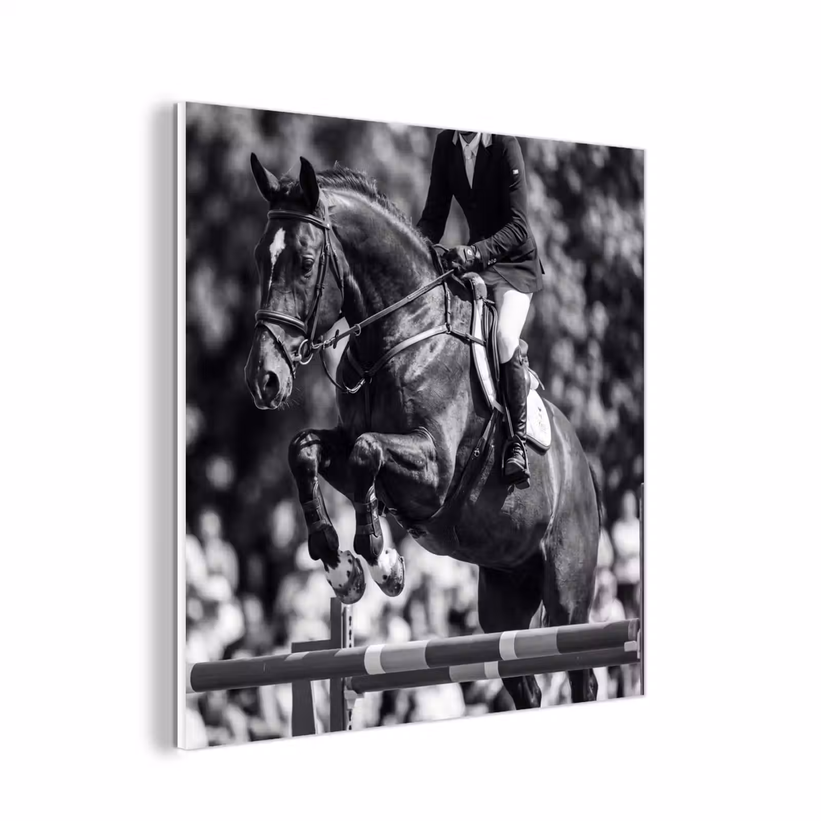 Forex - Springen - Paard - Zwart - Wit — 1