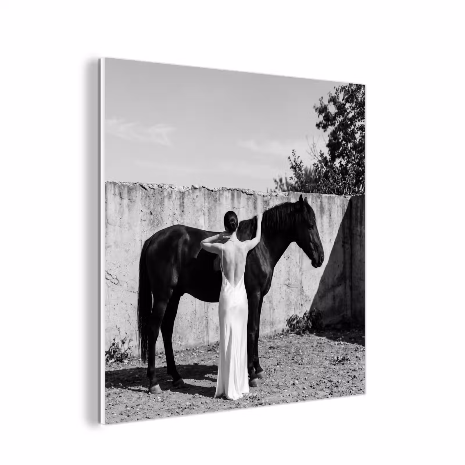 Forex - Vrouw - Paard - Artistiek — 1