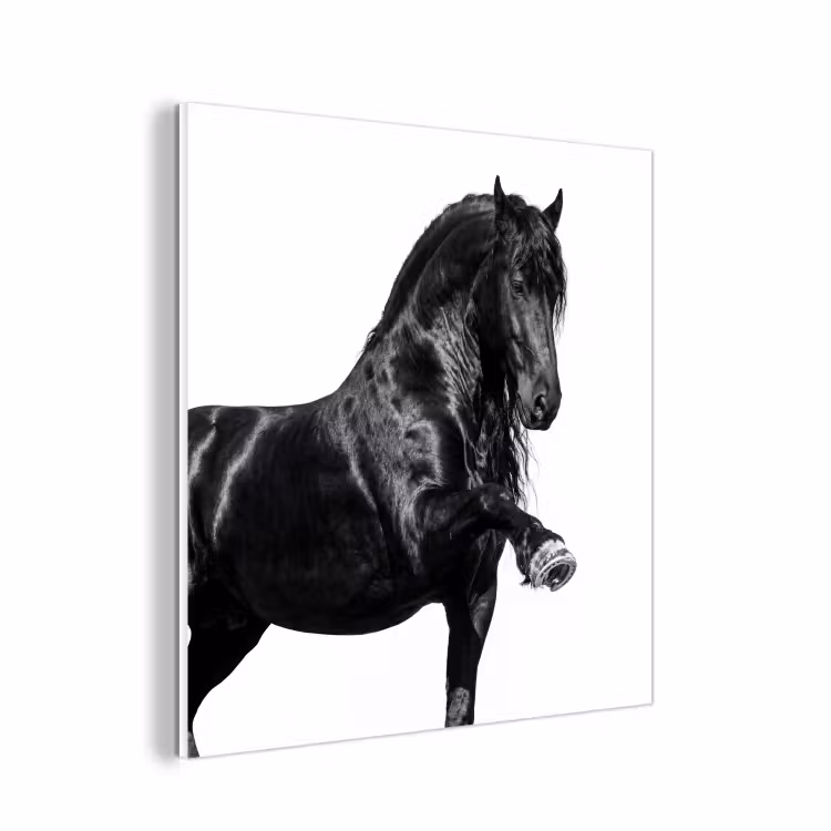 Forex - Fries - Hengst - Modern — 1