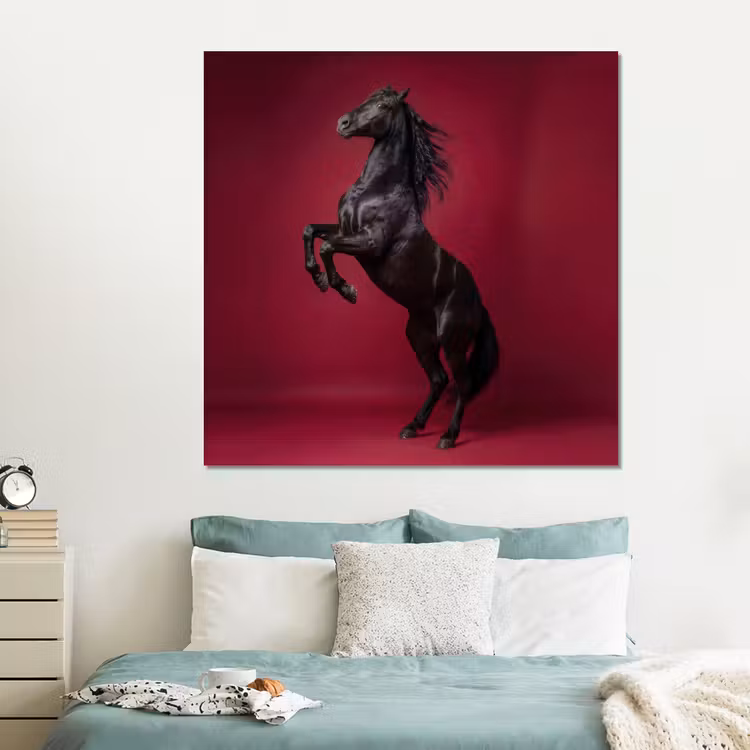 Forex - Hengst - Steigert - Rood — 2