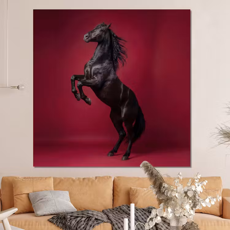 Forex - Hengst - Steigert - Rood — 4
