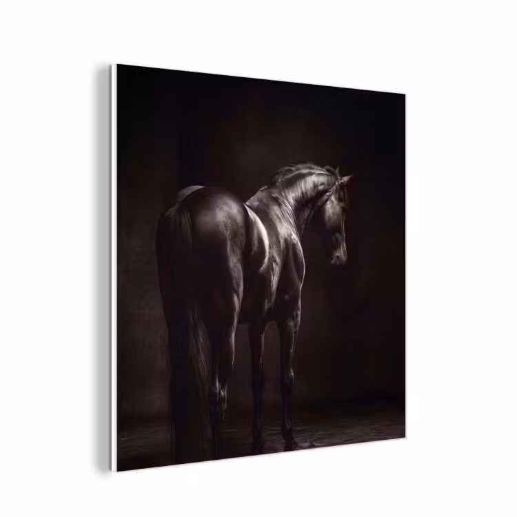 Forex - Krachtig - Paard - Donker — 1