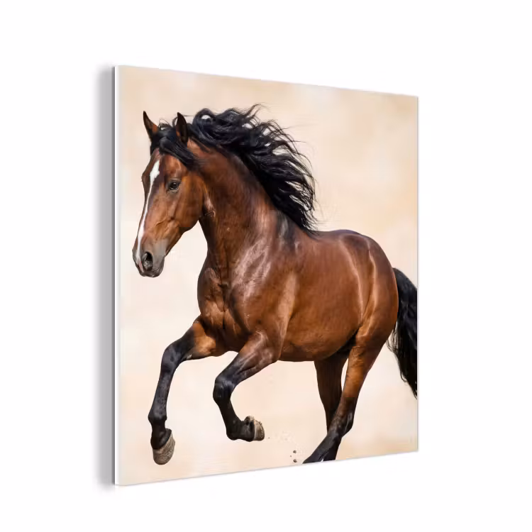 Forex - Paard - Galop - Energie — 1