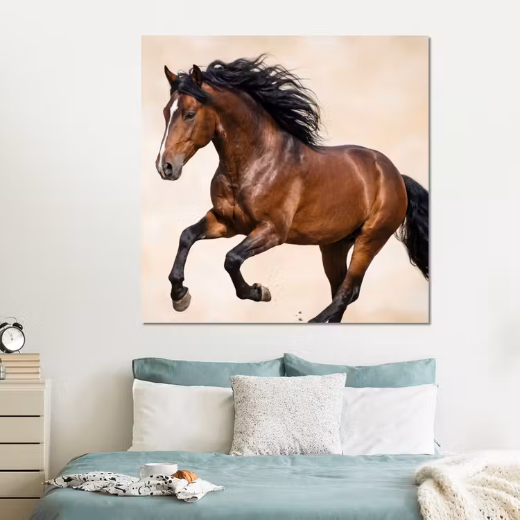 Forex - Paard - Galop - Energie — 2