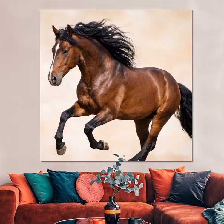Forex - Paard - Galop - Energie — 3