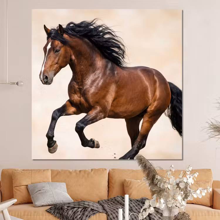 Forex - Paard - Galop - Energie — 4