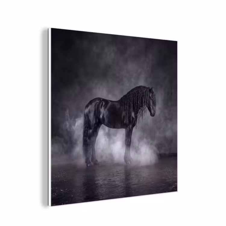 Forex - Paard - Magisch - Zwart — 1
