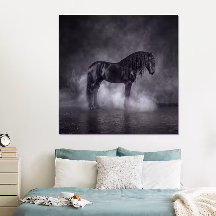 Forex - Paard - Magisch - Zwart — 2