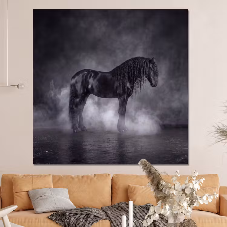 Forex - Paard - Magisch - Zwart — 4
