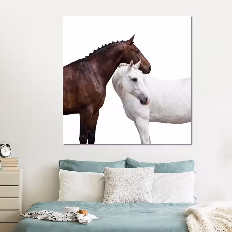 Forex - Paard - Modern - Balans — 2