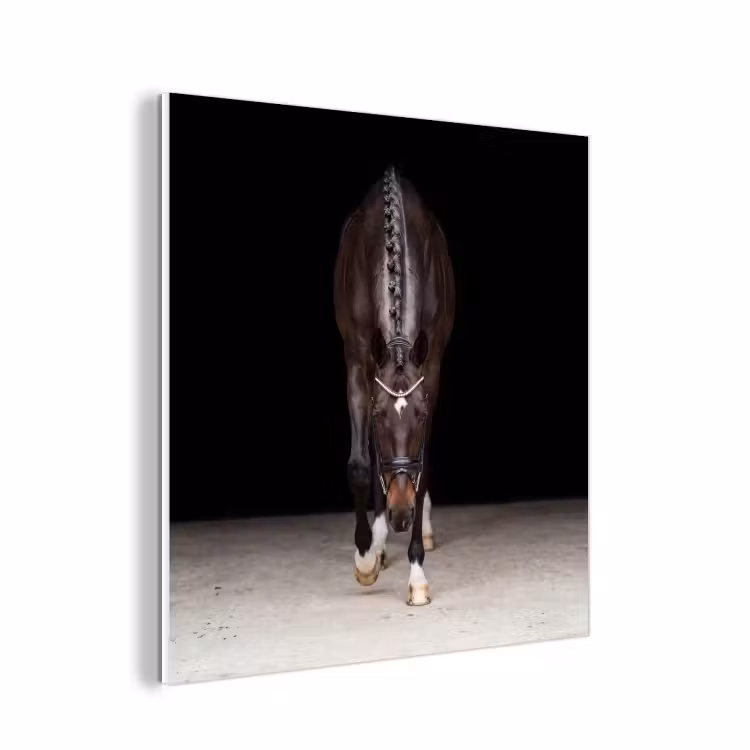 Forex - Paard - Modern - Portret — 1