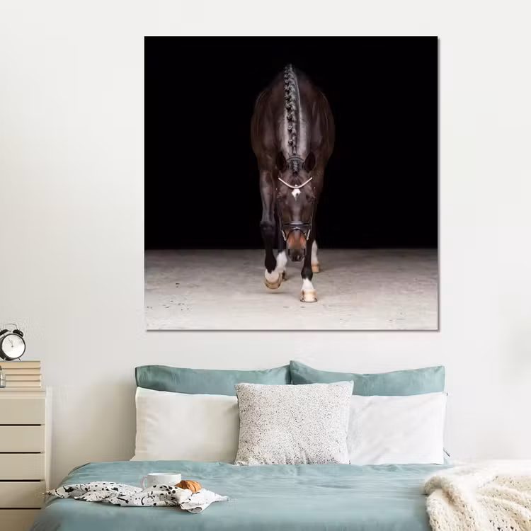 Forex - Paard - Modern - Portret — 2