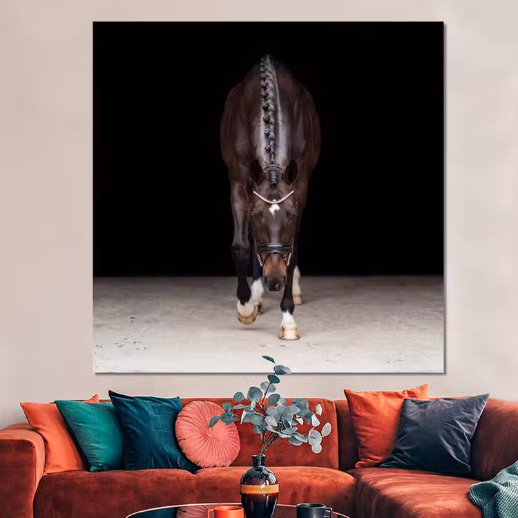 Forex - Paard - Modern - Portret — 3