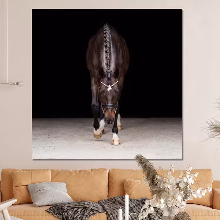 Forex - Paard - Modern - Portret — 4