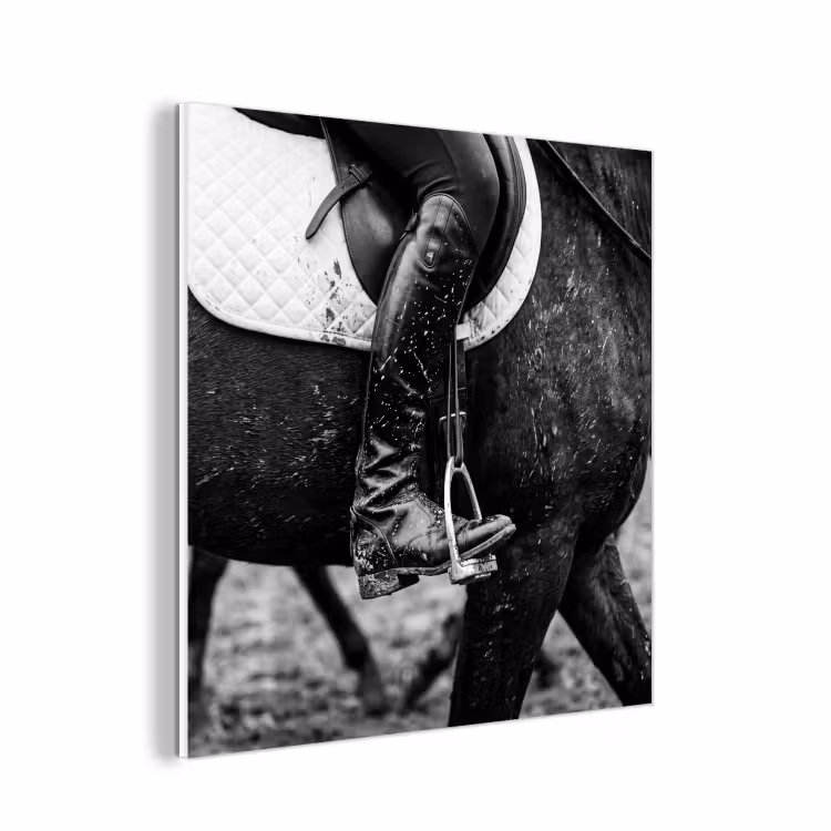 Forex - Paard - Sport - Zwart - Wit — 1