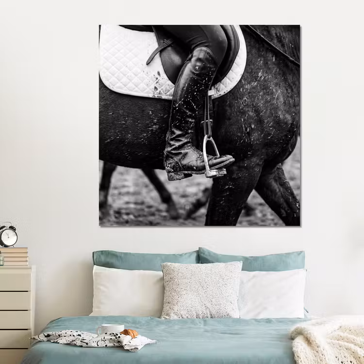 Forex - Paard - Sport - Zwart - Wit — 2