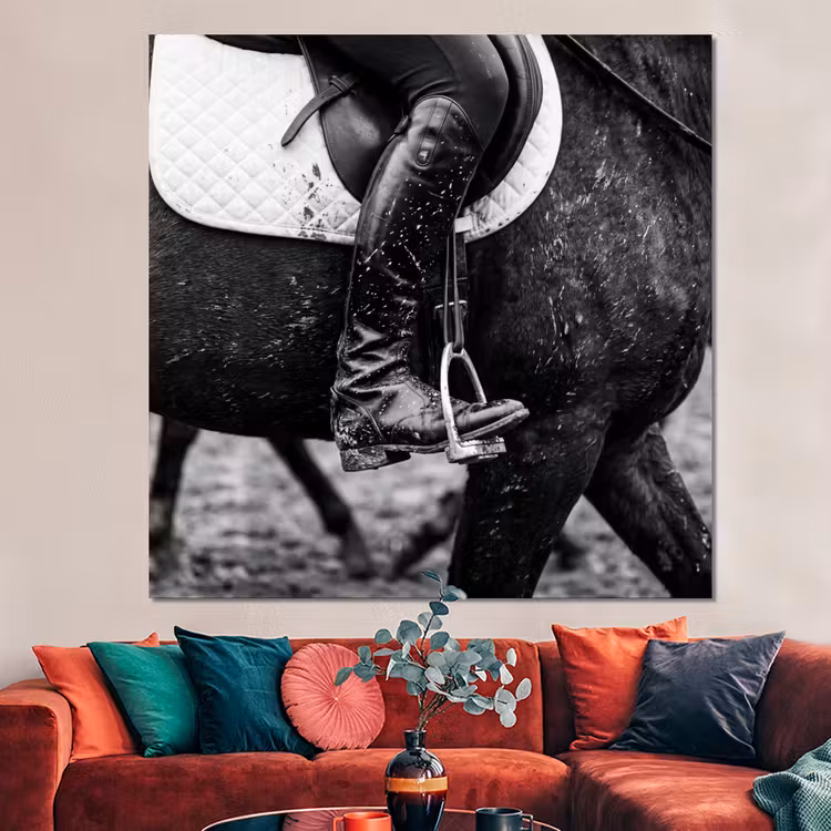 Forex - Paard - Sport - Zwart - Wit — 3