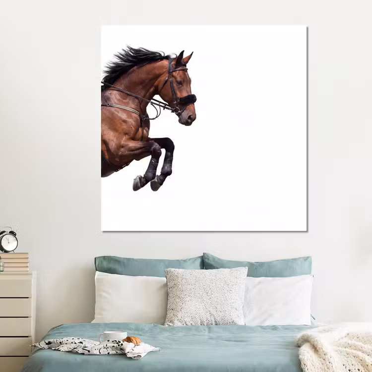 Forex - Paard - Springen - Modern — 2