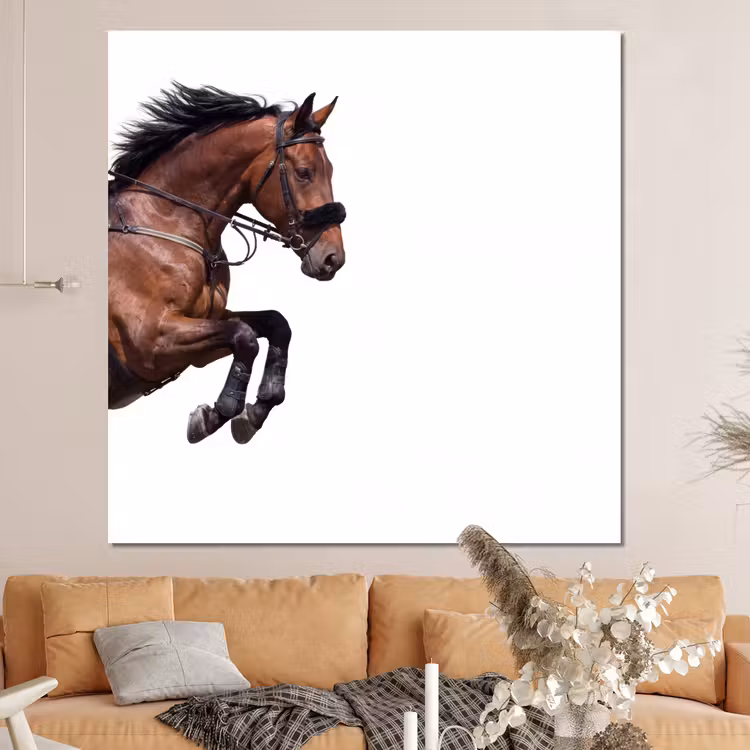 Forex - Paard - Springen - Modern — 4