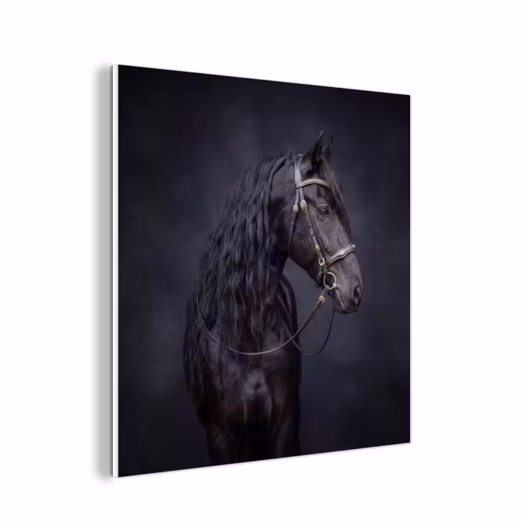 Forex - Portret - Paard - Donker — 1