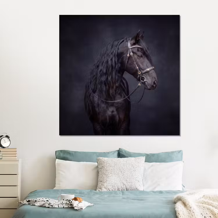 Forex - Portret - Paard - Donker — 2