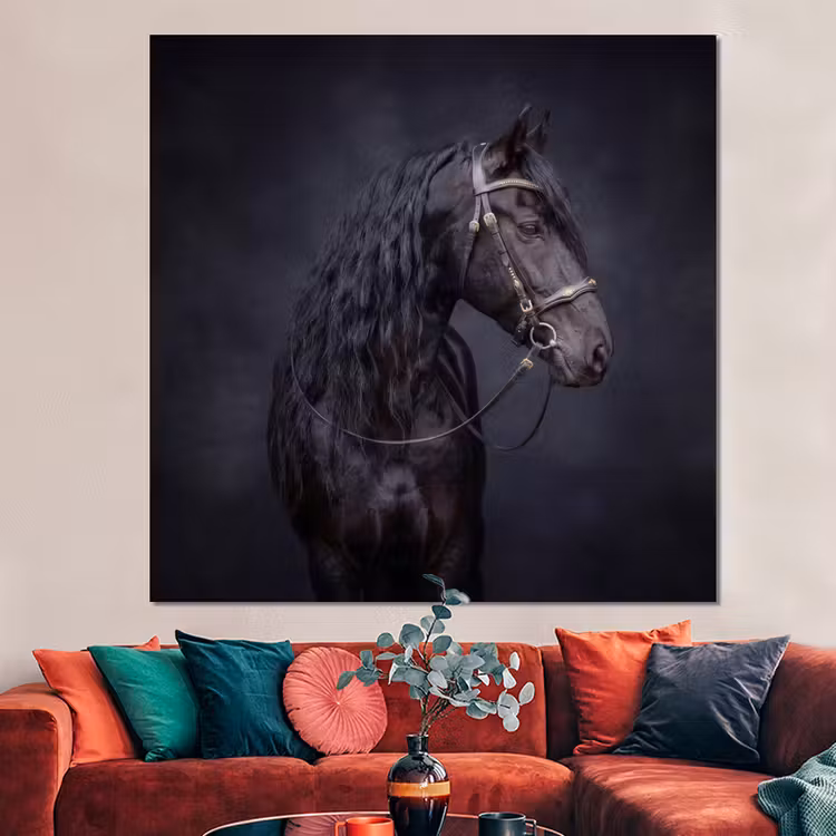 Forex - Portret - Paard - Donker — 3