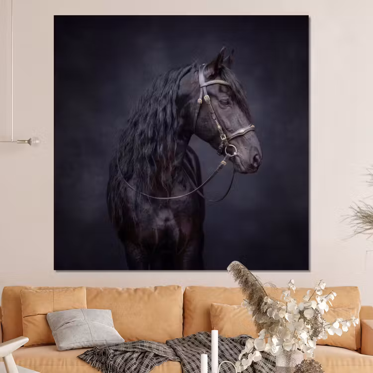 Forex - Portret - Paard - Donker — 4