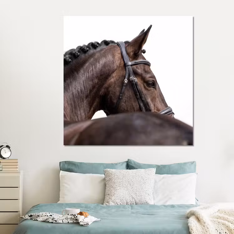 Forex - Portret - Paard - Elegant — 2