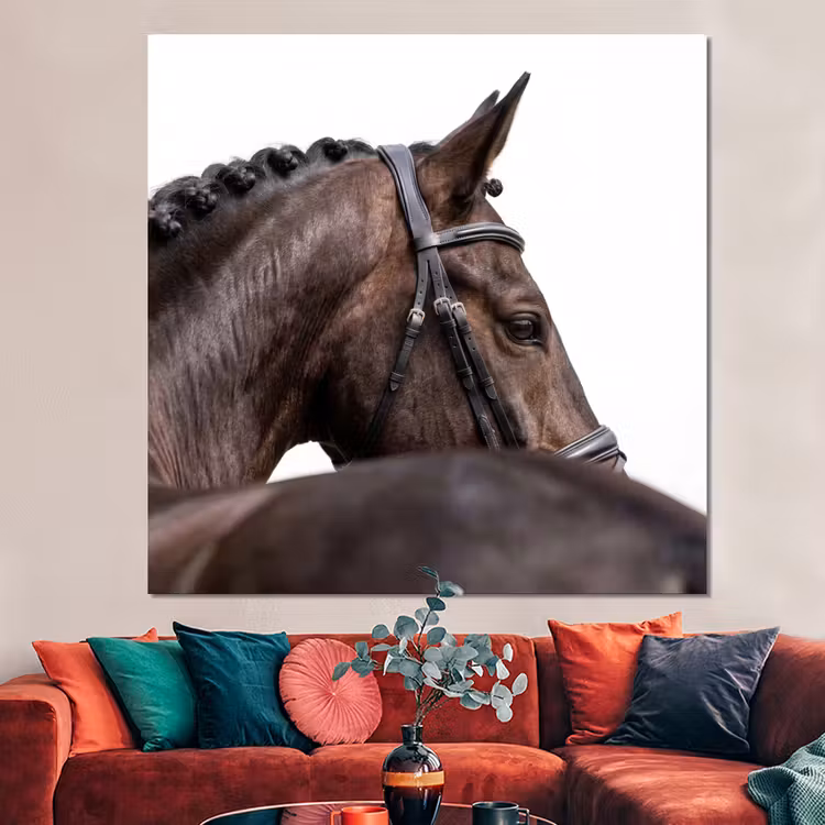 Forex - Portret - Paard - Elegant — 3
