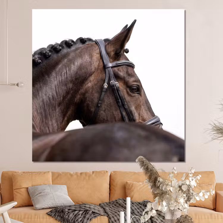 Forex - Portret - Paard - Elegant — 4