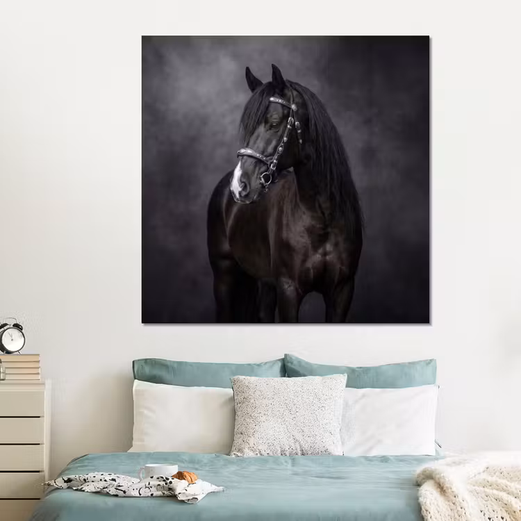 Forex - Portret - Paard - Zwart — 2