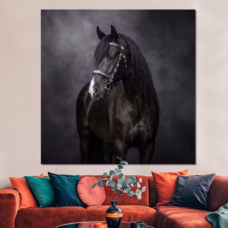 Forex - Portret - Paard - Zwart — 3