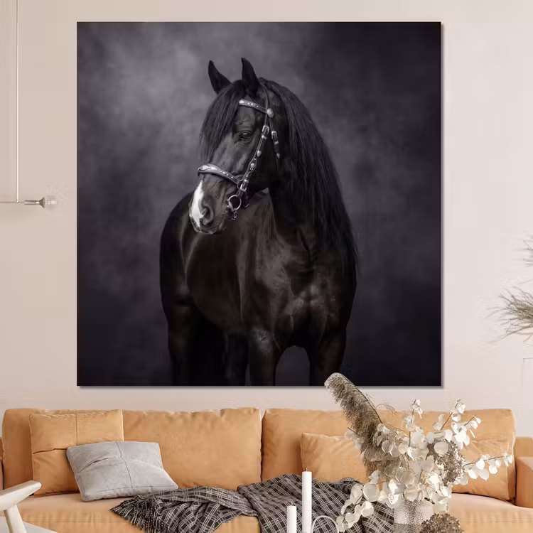 Forex - Portret - Paard - Zwart — 4