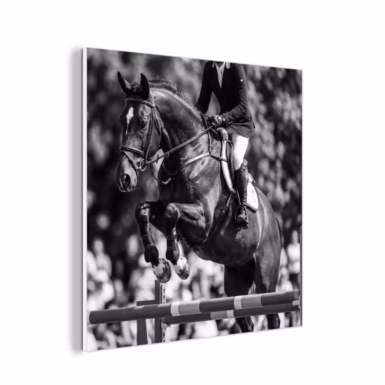 Forex - Springen - Paard - Zwart - Wit — 1