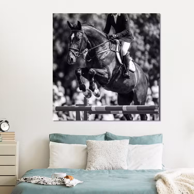 Forex - Springen - Paard - Zwart - Wit — 2