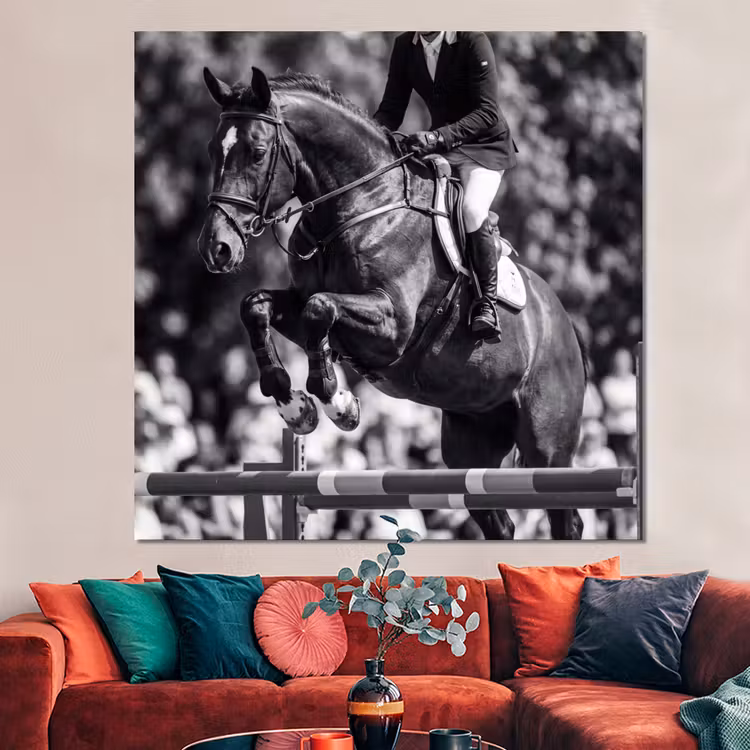 Forex - Springen - Paard - Zwart - Wit — 3