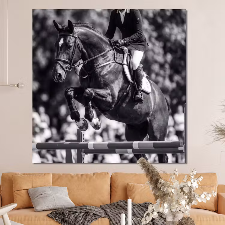 Forex - Springen - Paard - Zwart - Wit — 4