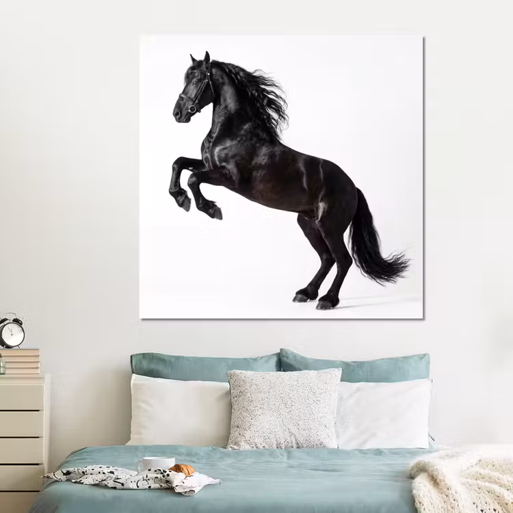 Forex - Zwart - Paard - Portret — 2