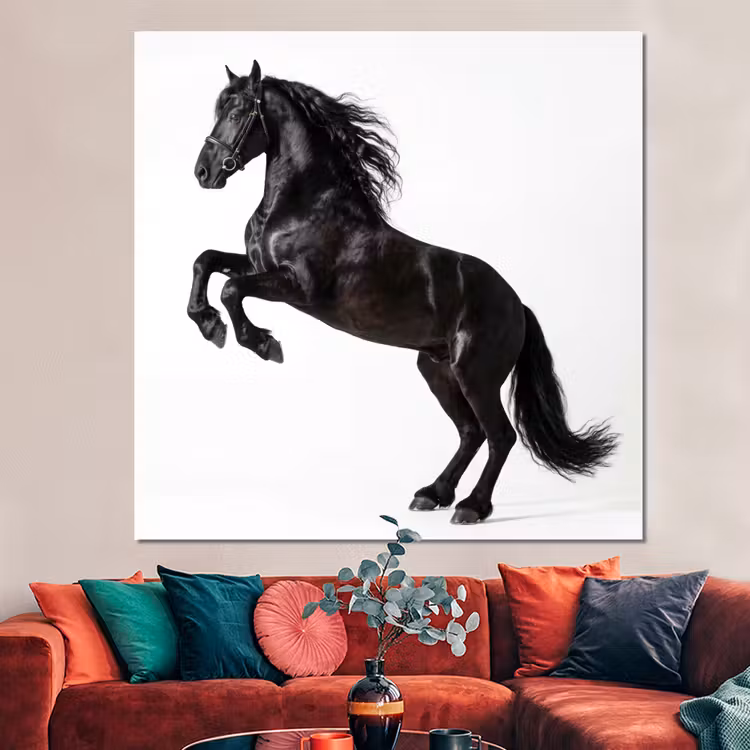 Forex - Zwart - Paard - Portret — 3