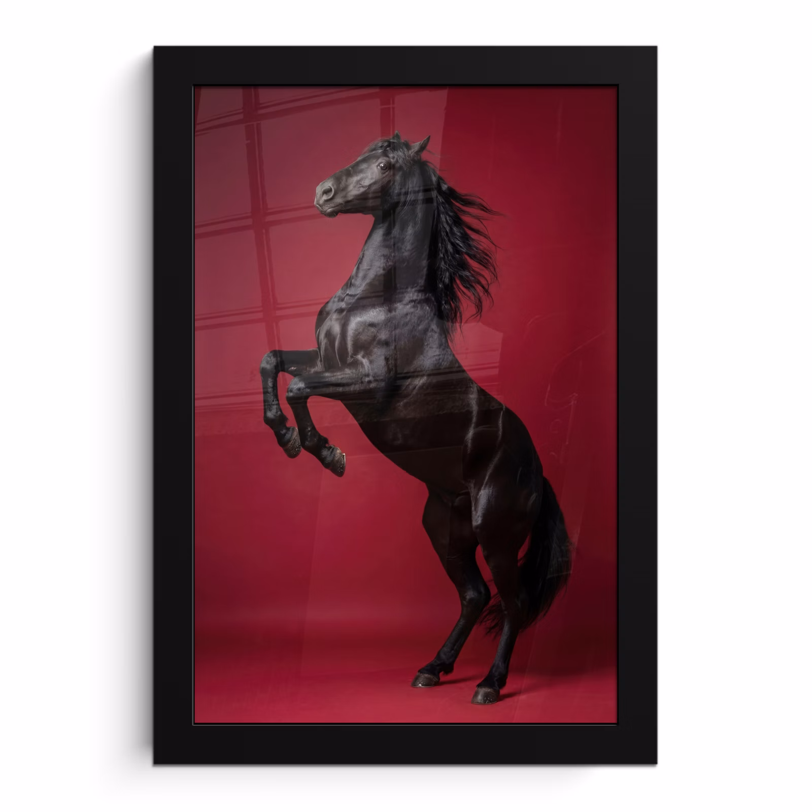 Poster met lijst - Steigerend Zwart Paard Bordeaux Achtergrond — 1