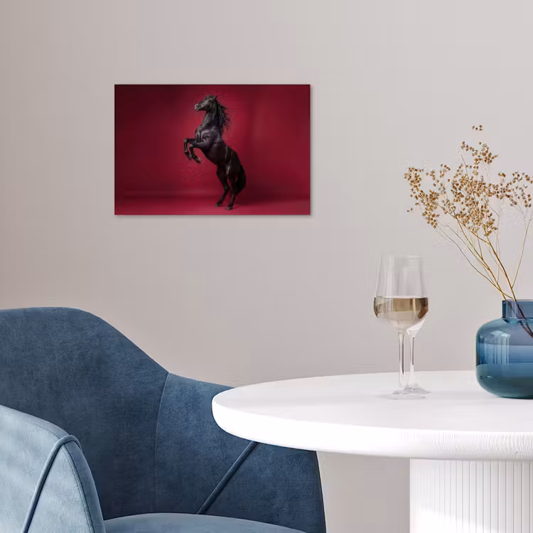 Poster - Hengst - Steigert - Rood — 4