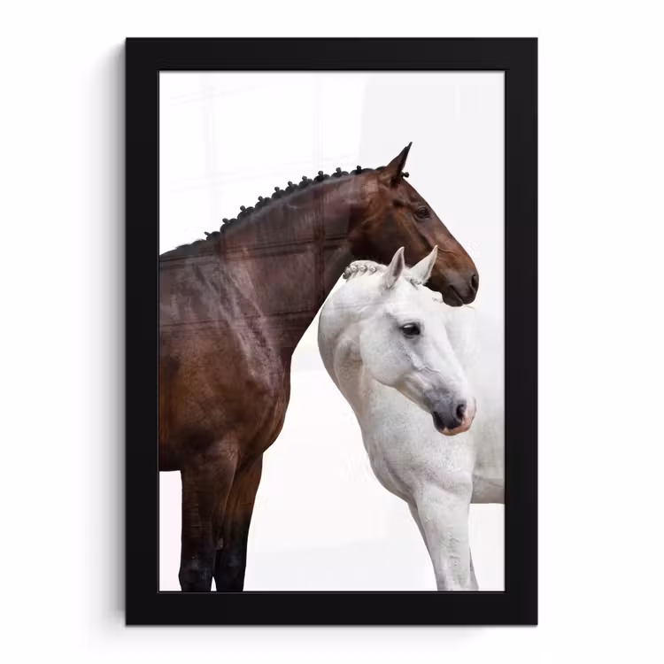 Poster met lijst - Twee Paarden Bruin Wit