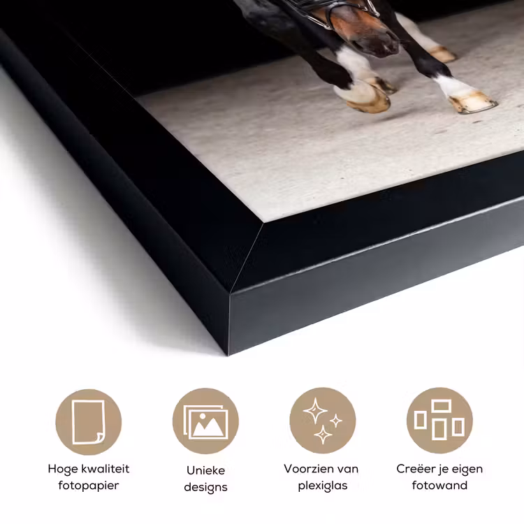 Poster met lijst - Paard van Voren Zwarte Achtergrond — 6